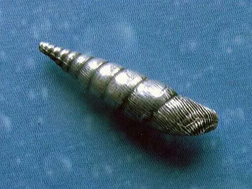 Garten Schnecke Ohrringe Ohrstecker