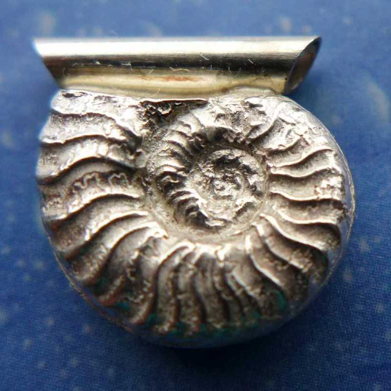 Fossiler Schmuck Silber Ammonit A