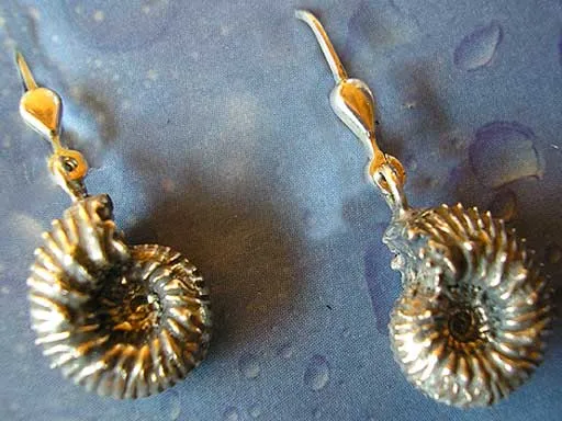 Fossiler Schmuck Ohrhänger Ammonit f