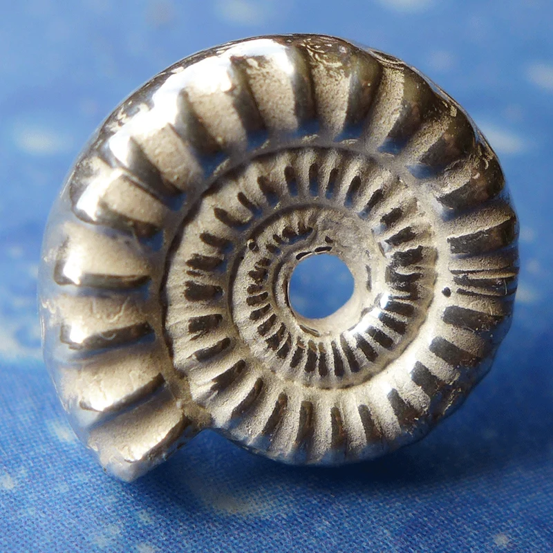 Fossiler Schmuck Ammonit Ohrstecker Lo