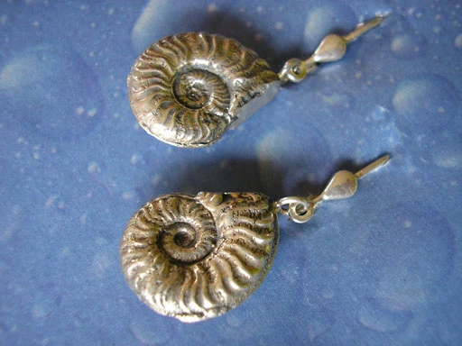 Fossiler Schmuck Ammonit Ohrhänger