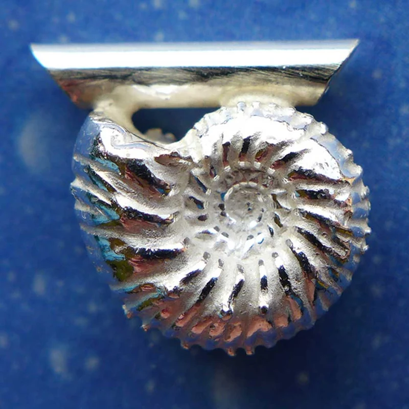 Fossiler Schmuck Ammonit Anhänger f