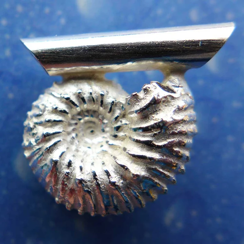 Fossiler Schmuck Ammonit Anhänger f