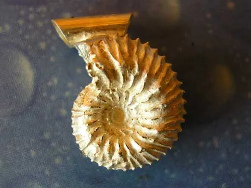 Fossiler Schmuck Ammonit Anhänger f