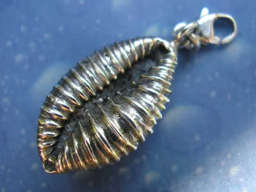 Charms Anhänger Silber Kauri m