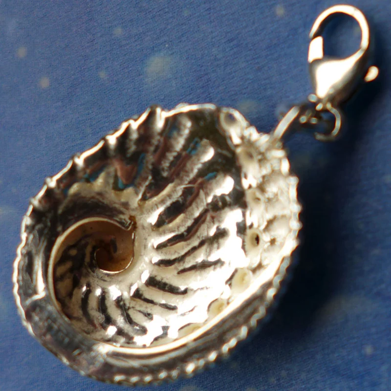 Charms Anhänger Hübsche Abalone