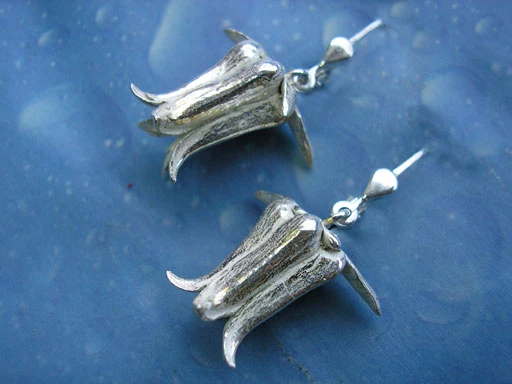 Blütenschmuck Ohrringe Silber Hauswurz