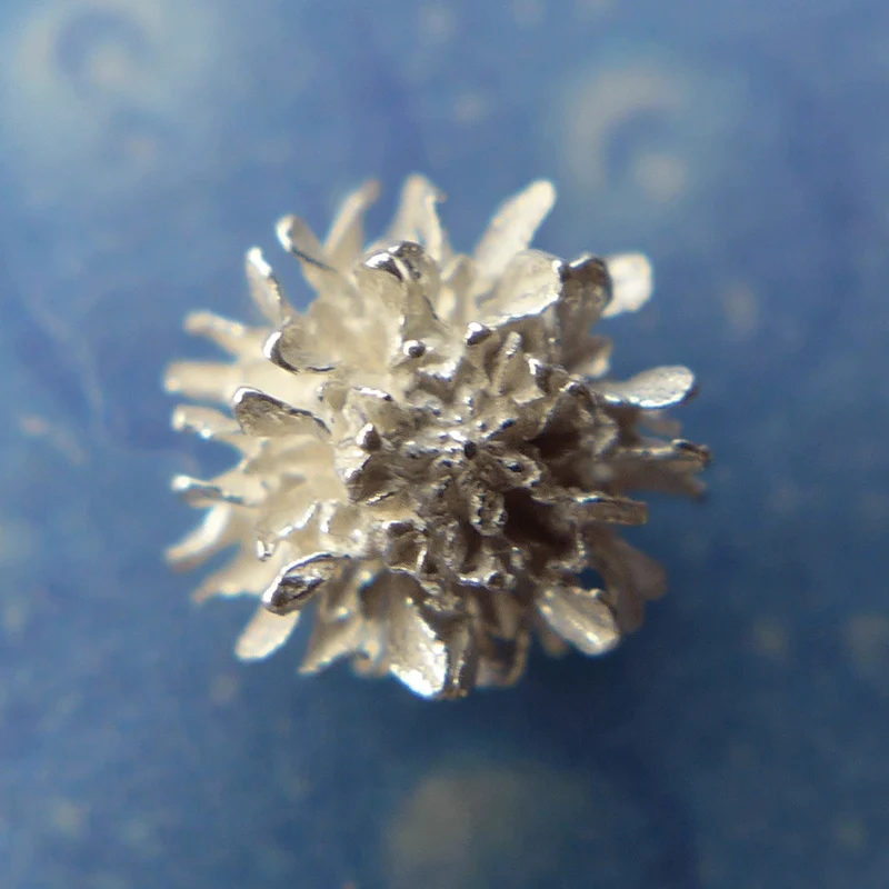 Blüten Schmuck Silber Kassuarine Ohrstecker xs