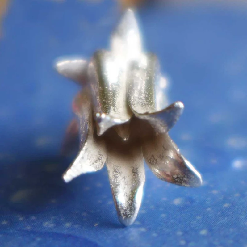 Blüte Schmuck Hauswurz Anhänger