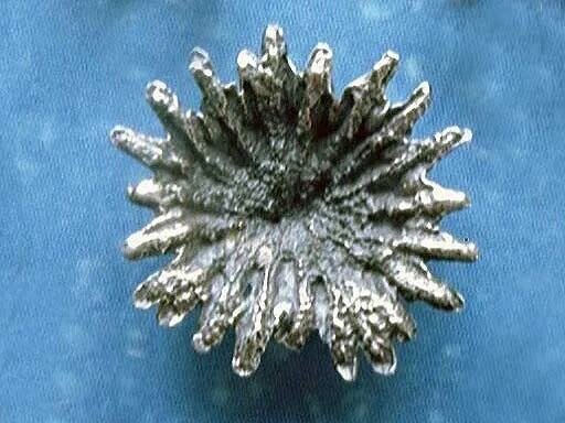 Flora Ohrstecker Türkischer Mohn