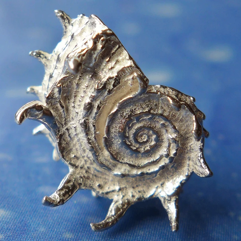 Delfin Schnecke Ohrstecker Silber