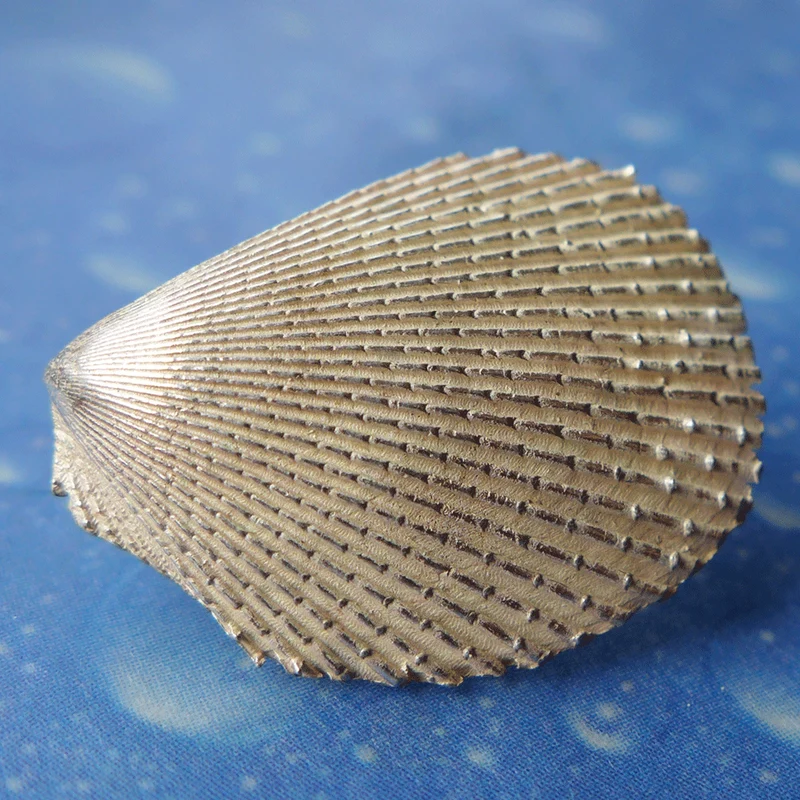 Clam Shell Muschel Ohrstecker Feile