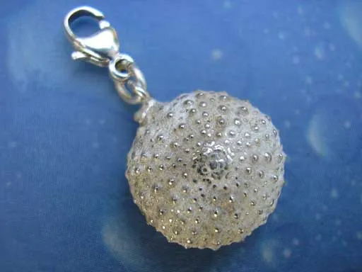 Charms Seeigel Schmuck m