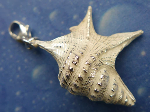 Charms Anhänger Silber Pelikanfuß s