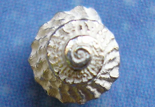 Silberschmuck Ohrstecker Schnecke Mini