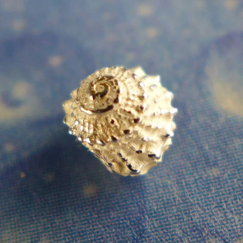 Silberschmuck Ohrstecker Schnecke Mini