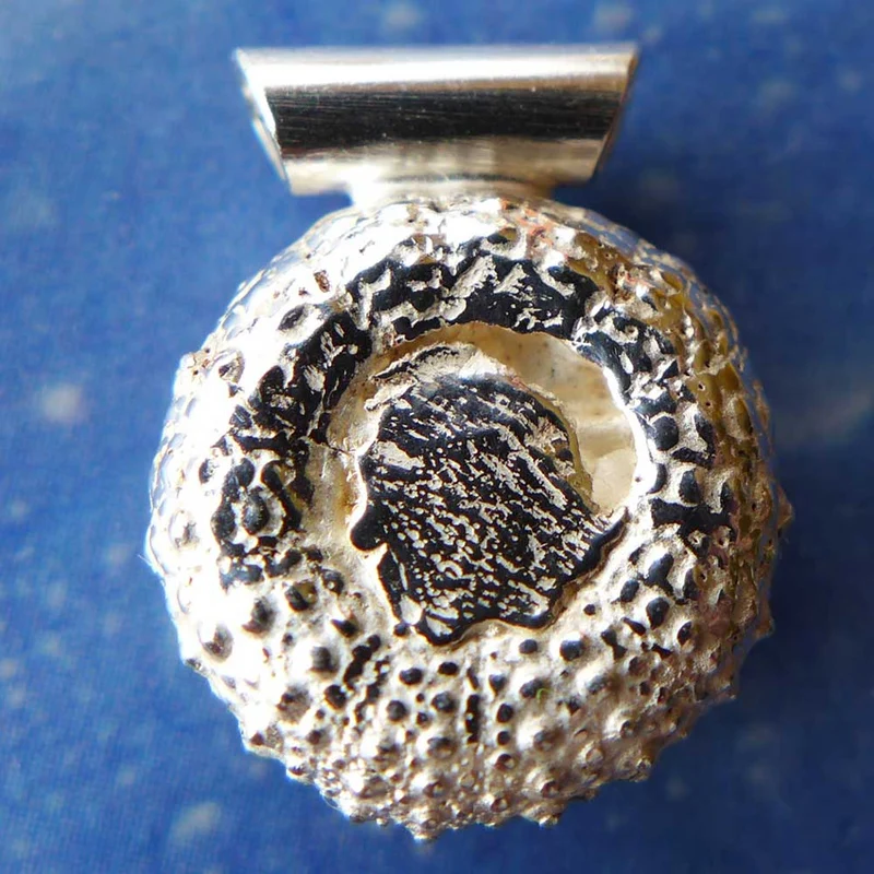 Silber Seeigel Schmuck Anhänger s