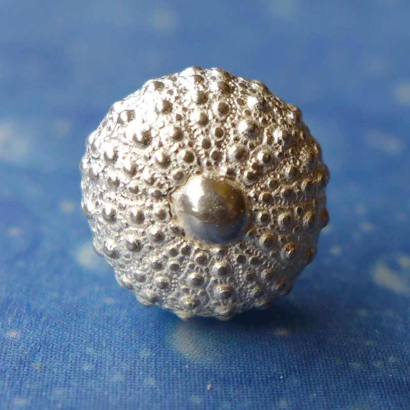 Silber Seeigel Ohrringe