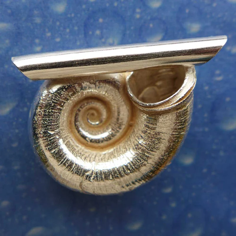 Silber Schmuck Anhänger Land Schnecke L