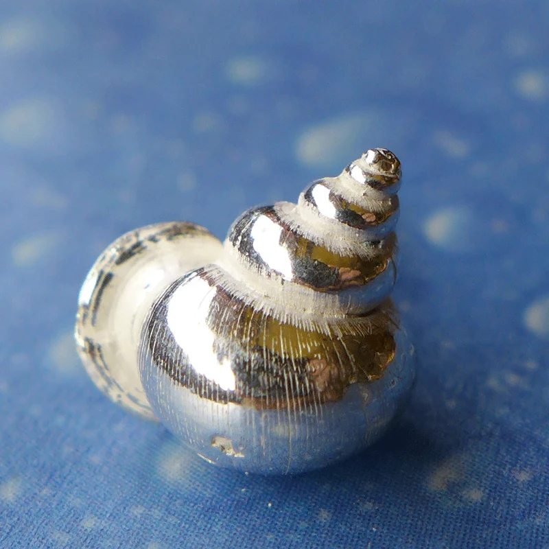 Silber Ohrstecker Meeresmotiv Wendeltreppe gl