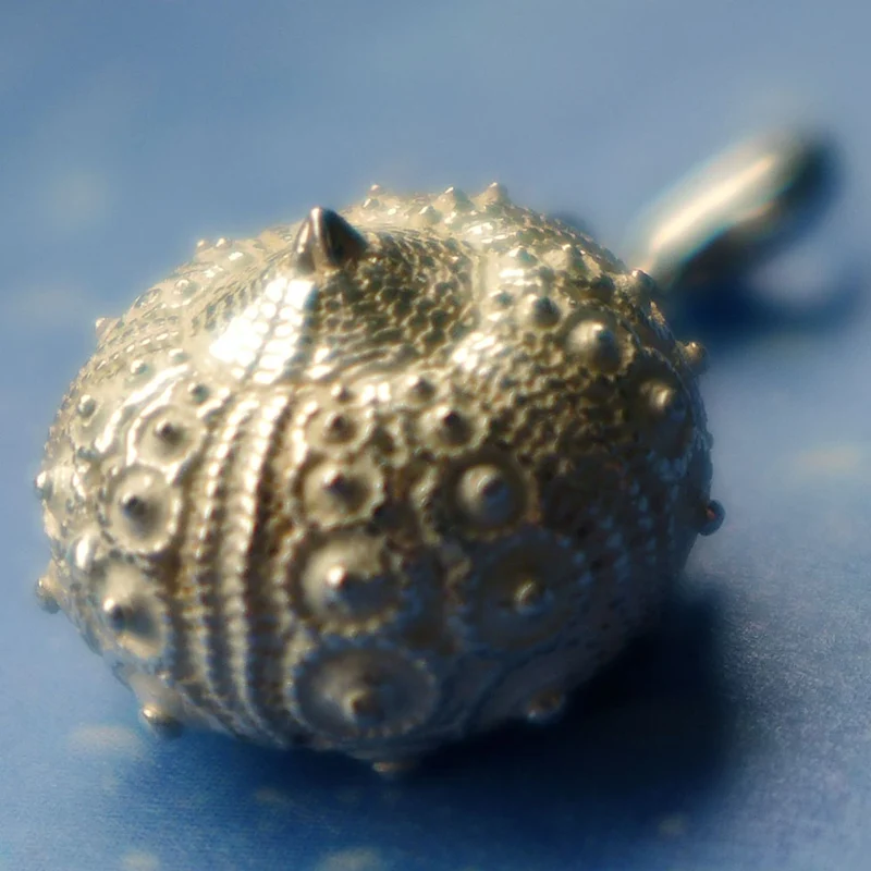 Silber Charms Seeigel Galapagos