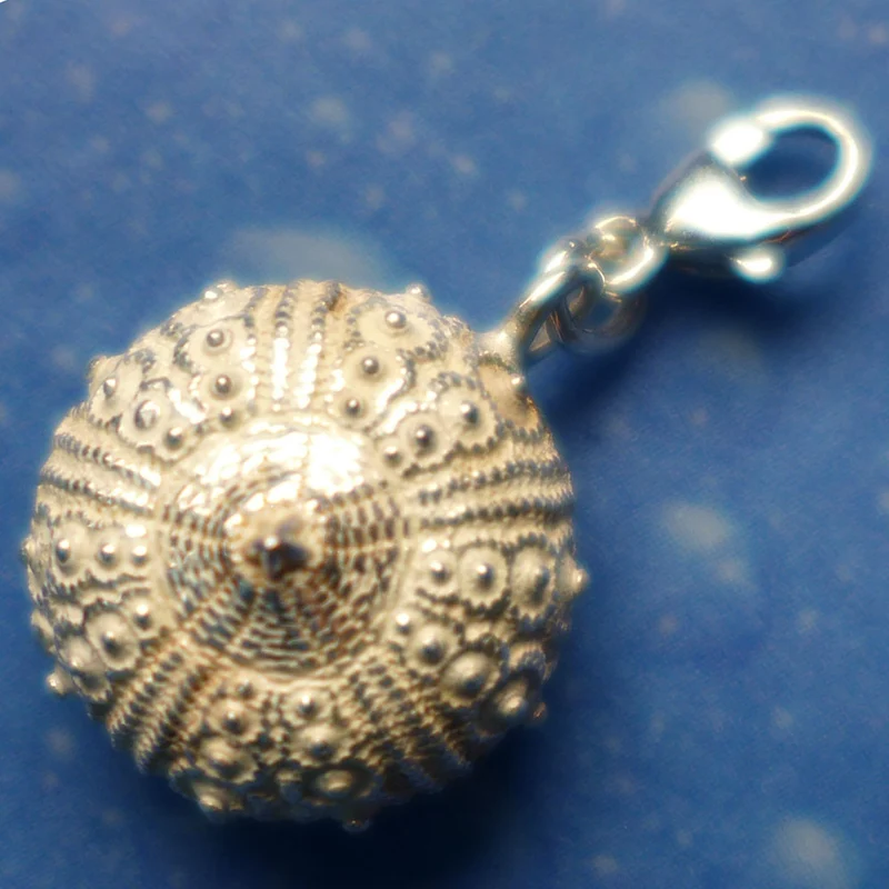 Silber Charms Seeigel Galapagos