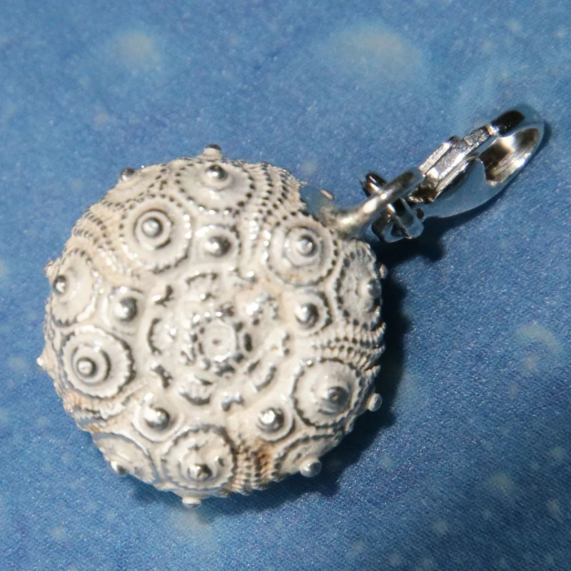 Silber Charms Seeigel Galapagos