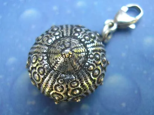 Silber Charms Seeigel Galapagos