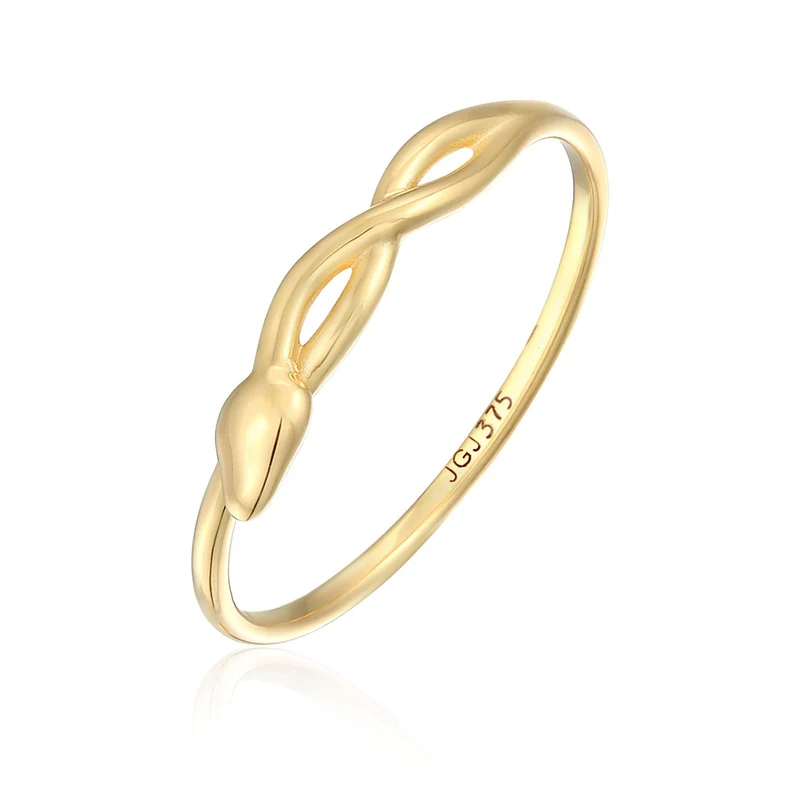 Ring Infinity Schlange