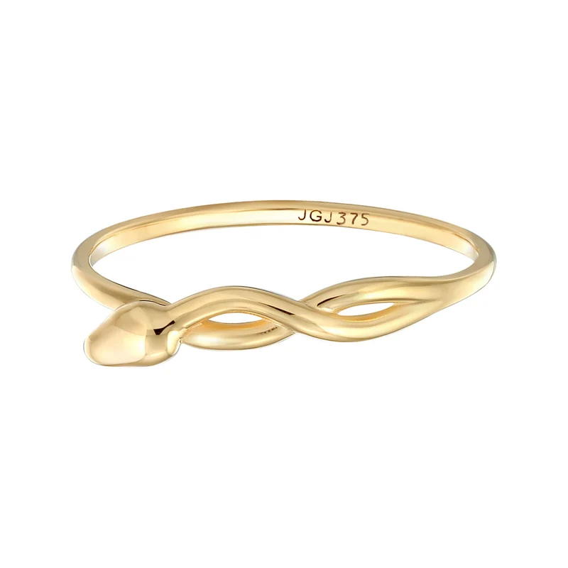 Ring Infinity Schlange