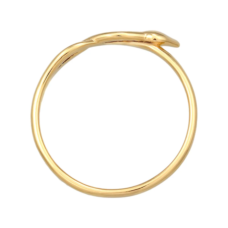 Ring Infinity Schlange
