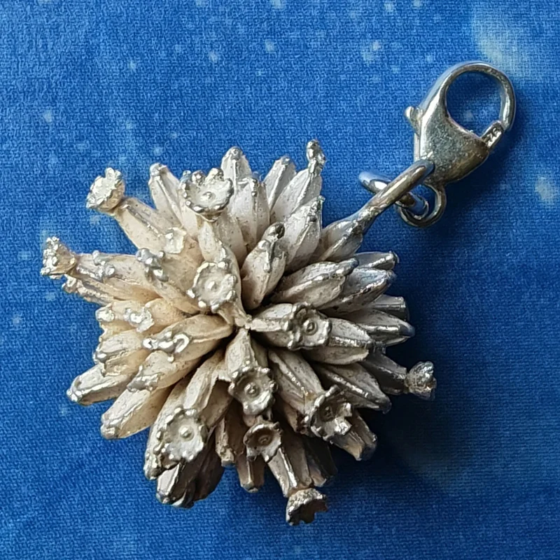 Blumen Schmuck Silber Teufelsabbiss