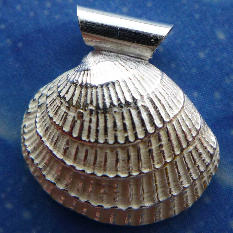 Silber Anhänger Muschel Lamellenvenus s