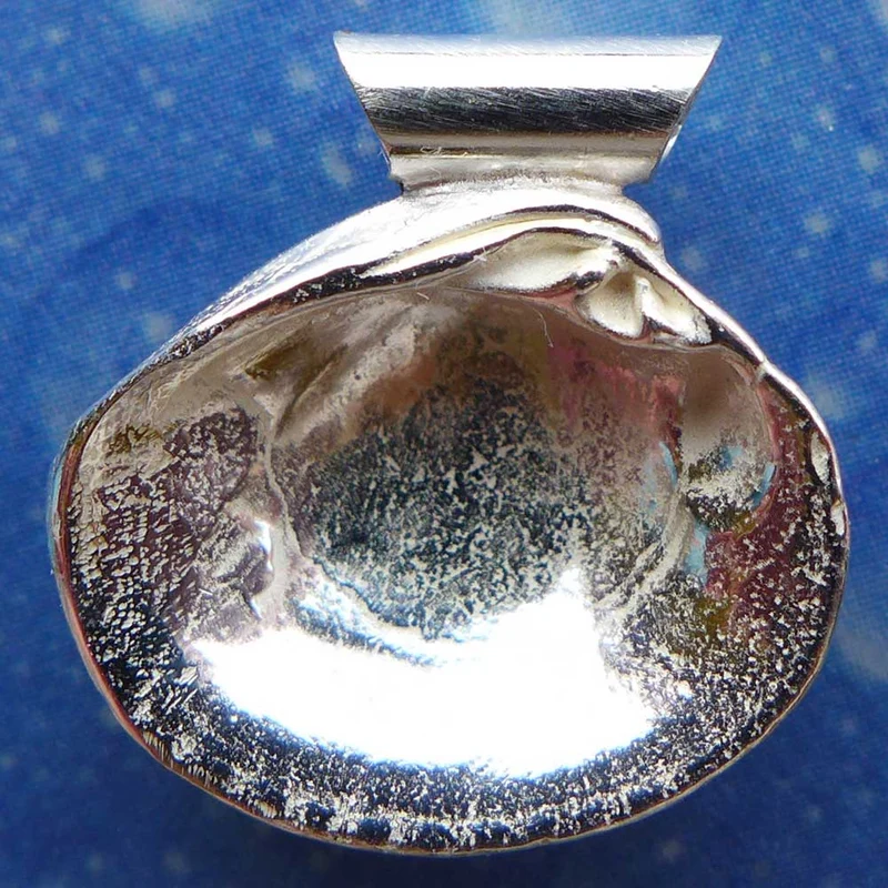 Silber Anhänger Muschel Lamellenvenus s