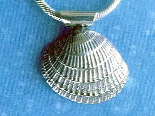 Silber Anhänger Muschel Lamellenvenus s