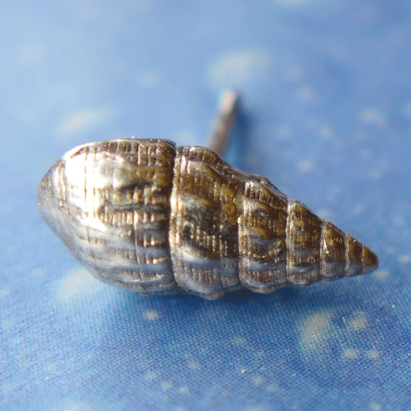 Seetang Schnecke Ohrstecker Schmuck m