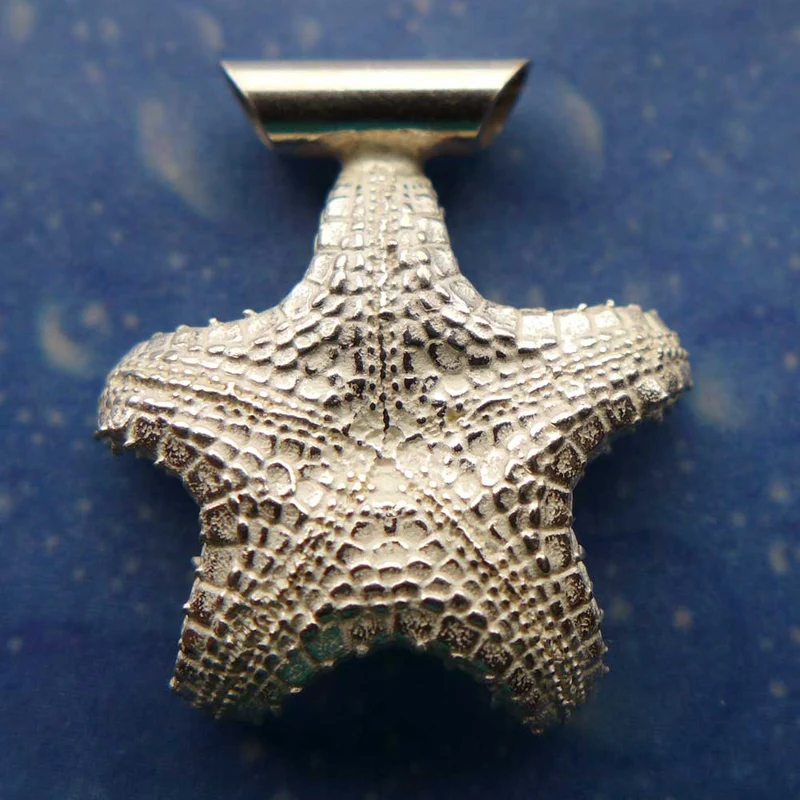 Seestern Schmuck Kissenstern Silber s