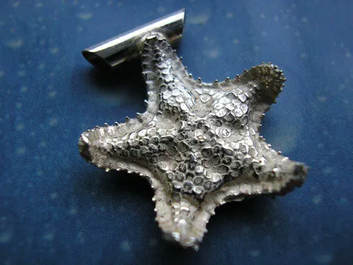 Seestern Schmuck Kissenstern Silber s