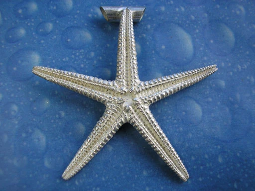 Seestern Schmuck Anhänger xl