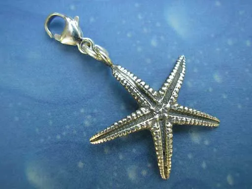 Seestern Charms Meeresmotiv Schmuck s