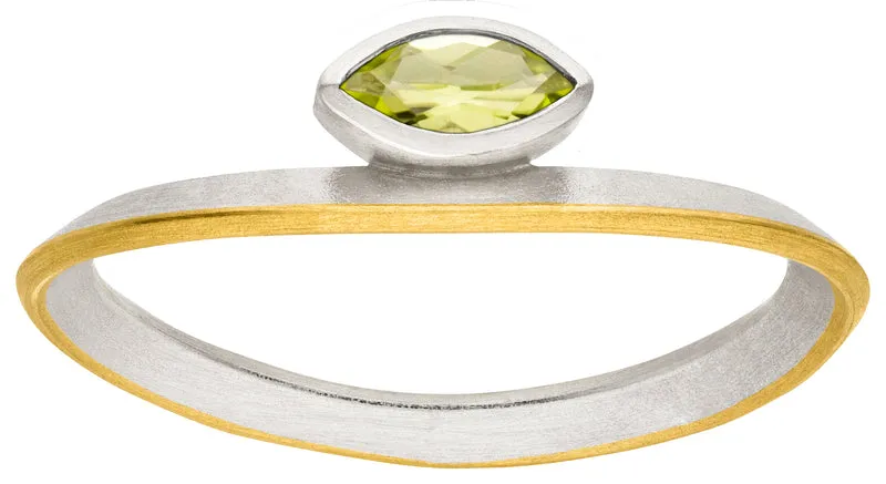 925er Silber Ring feingoldbelegt MANU R1397PR