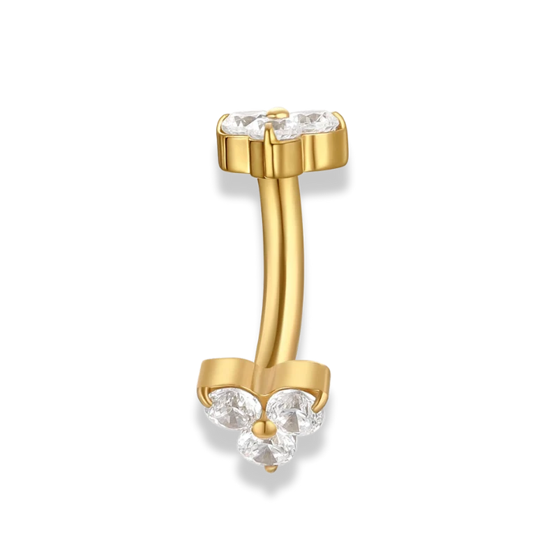 Hi-Life Lilly Rook Piercing - Titan