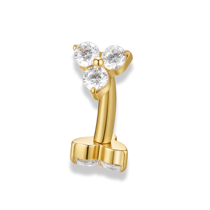 Hi-Life Lilly Rook Piercing - Titan
