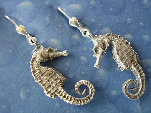 Seepferdchen Schmuck Ohrhänger s