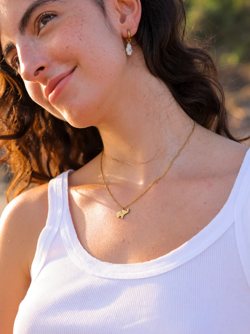 Elephant Dream Kette