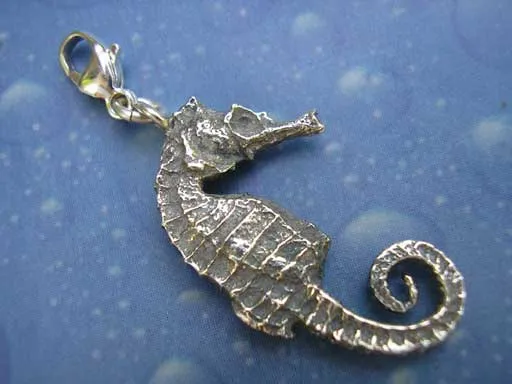 Seepferdchen Charms Anhänger s