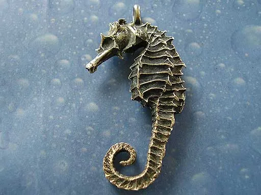 Seepferdchen Anhänger Schmuck L