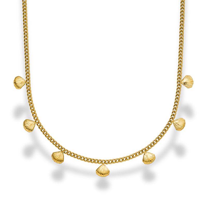 Tiny Golden Sea Shell Kette 14K Vergoldet