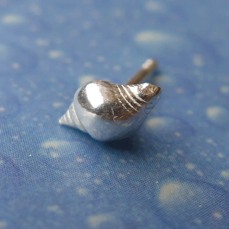 Scuba Schmuck Strombus Ohrstecker xs