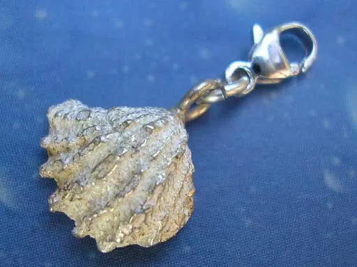 Schuppige Fächermuschel s Charms mit Karabiner